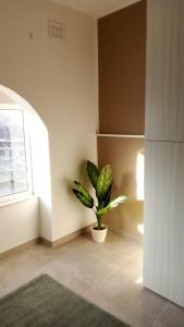 Foto de la galeria de The Rose Hostel a Saint Julian's