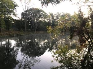 Photo de la galerie de l'établissement 3 Bedroom Home - Lake Views on 3 Sides, à Caseyville