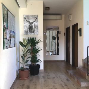 Foto sihtkohas Großkirchheim asuva majutusasutuse Guesthouse Mountain View galeriist