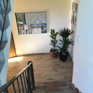Foto sihtkohas Großkirchheim asuva majutusasutuse Guesthouse Mountain View galeriist