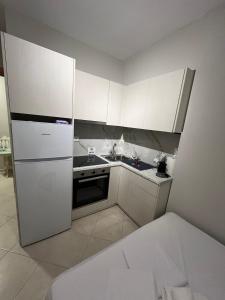 Kuchyň nebo kuchyňský kout v ubytování Silver's room