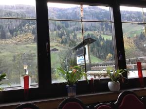 Üldine mäevaade või majutusasutusest Guesthouse Mountain View pildistatud vaade