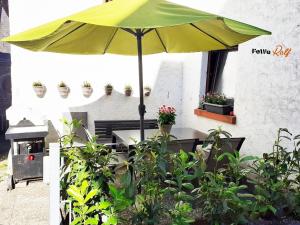 Zahrada ubytování Fewo Thielke Fewo 4 Kleiner Moselwinzer