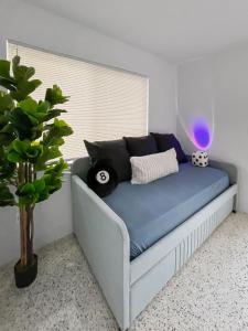 a blue couch in a room with a plant at Newly Remodeled full Apartment in Miami