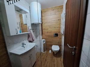 Koupelna v ubytování Apartman ANA