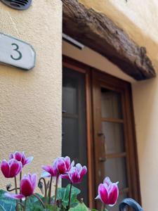 Fotografie z fotogalerie ubytování Camere La Carbonaia v destinaci Pienza