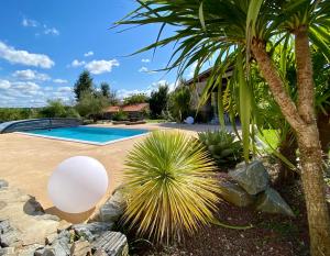 a yard with a pool and a palm tree at La Cour de la Forêt in Saint-Mars-de-Coutais +32 photos