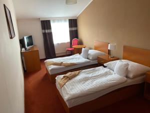 Katil atau katil-katil dalam bilik di Hotel Černý Orel Žatec