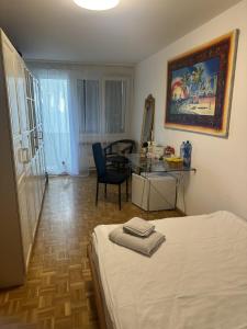 Postel nebo postele na pokoji v ubytování Schönes Zimmer in der City Basel