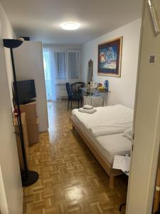 TV a/nebo společenská místnost v ubytování Schönes Zimmer in der City Basel + 12 fotografií