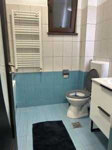 a bathroom with a toilet and a mirror at Natalieva Apartment in Popeşti-Leordeni +18 photos