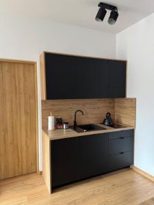 a kitchen with a sink and a counter top at Apartment between the bridges in Zgorzelec +14 photos