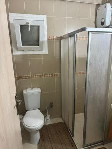ein Bad mit einem WC, einem TV und einer Dusche in der Unterkunft 1 Bedroom Apartment Long Beach İskele in Saint Yeorgios