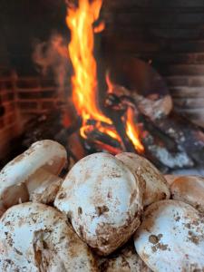 a pile of mushrooms in front of a fire at El Pico de Aroche in Aroche
