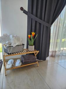 a room with a table with a plant and a curtain at El Mirador Family Glamping in Estancia de Itargua