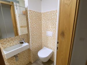 a small bathroom with a toilet and a sink at Apartma Loško in Cerknica