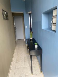 una stanza con un tavolo nero con una pianta sopra di Appartement 2 chambre roubaix a Roubaix 1 altra foto