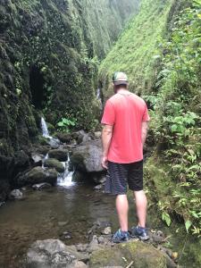 Un paisaje natural cerca del departamento