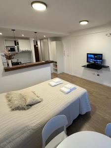 a bedroom with a large bed with two chairs and a tv at Departamento super luminoso - Zona 12 y 38 in La Plata