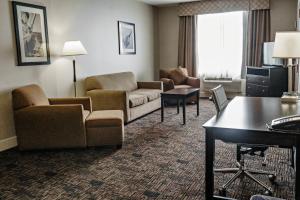 Posezení v ubytování Radisson Hotel Edmonton Airport