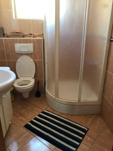 a bathroom with a shower with a toilet and a rug at Kristina Apartmanház in Dobrinj +16 photos
