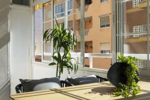 Fotografia z galérie ubytovania Apartamento Pink Medsea v destinácii Torrevieja