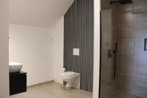 a bathroom with a toilet and a shower at Villa Zöldvölgy - Lassulj le és töltődj fel nálunk in Szůcsi