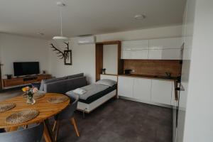 Kuchyň nebo kuchyňský kout v ubytování Apartmán Ústí