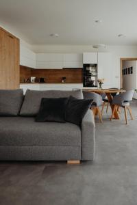 Posezení v ubytování Apartmán Ústí