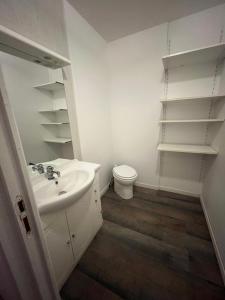 a bathroom with a sink and a toilet and shelves at l'HIRONDELLE in Les Goths +12 photos