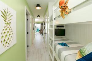 Μια τηλεόραση ή/και κέντρο ψυχαγωγίας στο CDM 204 - Turtle-y Awesome