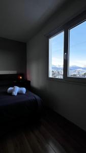 a dark room with a bed and two windows at Robinson Alojamientos - Edificio María Gricelda in Ushuaia