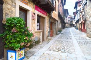 an alley with a potted plant on the side of a building at El Capricho Casa Rural in Sotoserrano