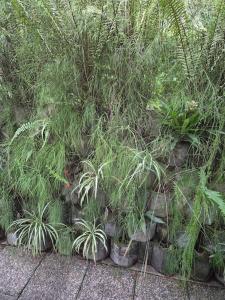 Jardín al aire libre en Gîte Ti jit la