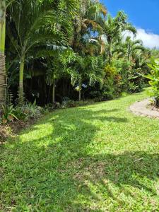 Jardín al aire libre en Gîte Ti jit la