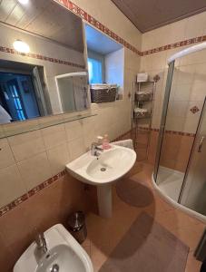 a bathroom with a sink and a shower at Gorjuška Rozamunda in Bohinjska Bistrica