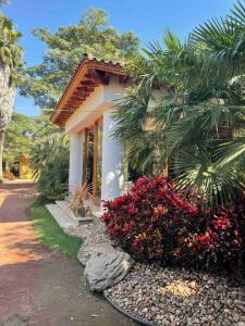 Zahrada ubytování Bilbao Luxury Bungalow