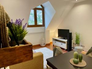 a living room with a couch and a tv at CALMFRANC ático abuhardillado con vistas al río y la montaña Avistamiento de ciervos en Canfranc Pueblo in Canfranc