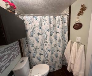 Ένα μπάνιο στο Great Condominium Lower level +2 φωτογραφίες