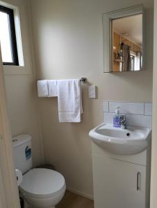 Ένα μπάνιο στο Dunedin Retreat Cabin +13 φωτογραφίες