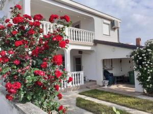 ein Haus mit roten Blumen auf der Seite in der Unterkunft Apartment Tihana in Vir