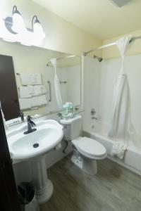 a bathroom with a sink and a toilet and a mirror at FairBridge Inn and Suites Sandpoint in Ponderay +23 photos