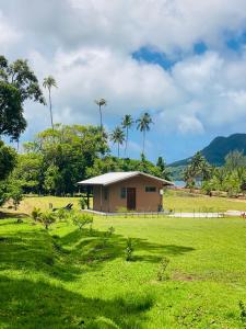 a small house in a field with palm trees at Huahine Serenity Cottage in Maroe