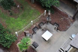 A garden outside Sandpiper 7-C ON the BEACH- Smart TVs