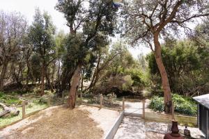 Φωτογραφία από το άλμπουμ του Silverleaves Retreat σε Rhyll +20 φωτογραφίες