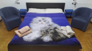 un gatto seduto sopra un letto di CASA CHIARA - 11 minuti da Milano - 6 minuti da policlinico San Donato Milanese a San Giuliano Milanese
