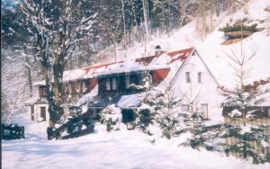 Fotografie z fotogalerie ubytování Holiday Home Ve Vlčicích v destinaci Vlcice + 13 fotografií