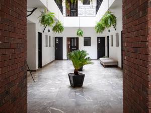 a hallway with a potted plant in a building at Hotel Florida, Centro Histórico in Mexico City