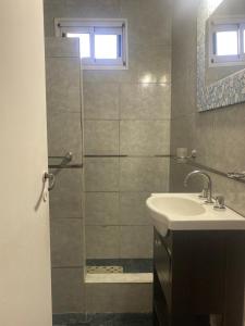 a bathroom with a sink and a shower at Las Grullas in Mar de Cobo