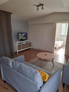 een woonkamer met een bank en een tv bij Ateka Dax appartement in Dax